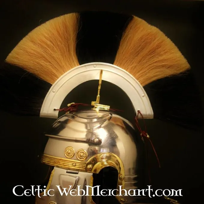 Deepeeka Gallic Galea G, Optio - Image 2